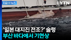 낚시하다 \'깜짝\'...부산서 이례적 현상 발생 [지금이뉴스] 