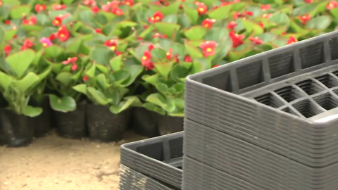 "화분 재활용은 필수"…전쟁 여파에 화훼업 '이중고'