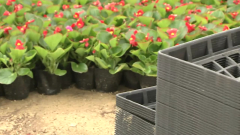 "화분 재활용은 필수"…전쟁 여파에 화훼업 '이중고'