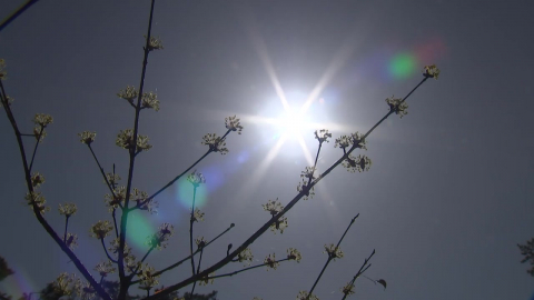 [출근길 YTN 날씨 4/23] 황사 물러가고 쾌청한 하늘…낮까지 남해안·제주 비