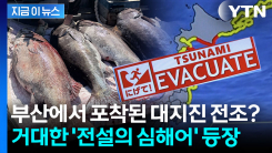 왜 갑자기 부산에 이런 현상이...日 대지진 공포에 떠는 시민들 [지금이뉴스]