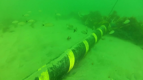 '해저 케이블' 카드까지 꺼낸 이란…또 다른 변수되나?