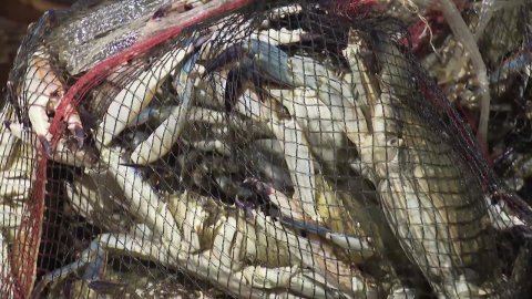 기름값 치솟아 어업 부담 지속…"어구값까지 올라"