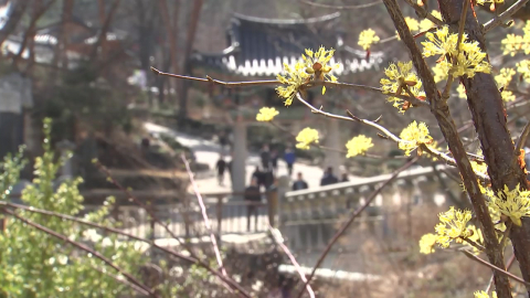 [출근길 YTN 날씨 4/24] 오늘도 예년보다 따뜻, 서울 낮 26℃…큰 일교차 유의