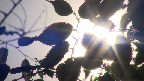 [날씨] 맑고 일교차 큰 봄 날씨, 서울 낮 26℃…대기 건조, 산불 위험