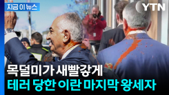 \'망명 중\' 이란 마지막 왕세자 향해 \'퍽\'...독일 방문서 봉변 [지금이뉴스] 