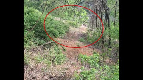 \'농장 탈출\' 사슴 7마리 발견…수색 작전 사흘째