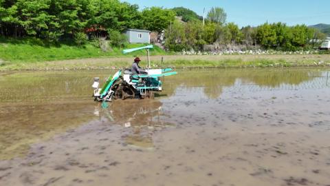 고유가 속 '첫 모내기'…깊어지는 농민 시름