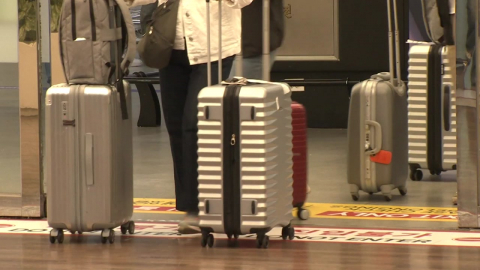 할증료 폭등 전 막차 예약 '폭주'…제주 5월 연휴 '들썩'