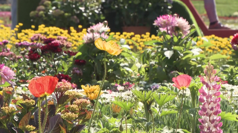 꽃이 전하는 치유…'태안국제원예치유박람회' 개막