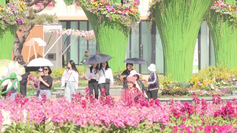 꽃과 바다로 힐링!…'태안국제원예치유박람회' 개막