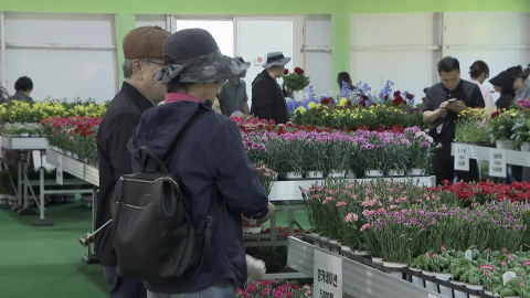 꽃·나비 따라 봄 휴식…'태안 국제원예치유박람회'