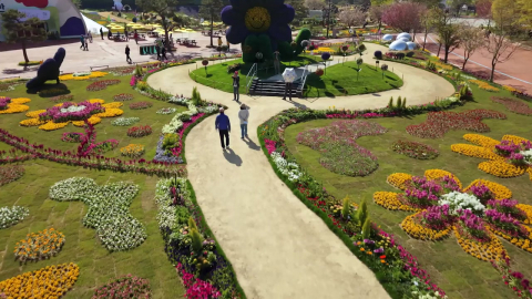 태안 국제원예치유박람회 개막…"꽃과 치유의 시간"