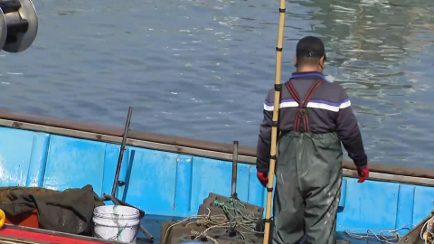4차 최고가격제도 '임시방편'…"더 오르면 조업 포기"
