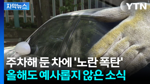 [자막뉴스] 출몰 시기 조금씩 빨라지더니...올해도 '폭풍 생장'