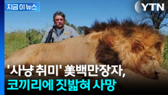 "동물 박제가 취미라더니"... 사냥광 백만장자, 코끼리에 짓밟혀 사망 [지금이뉴스]