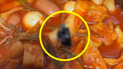 유명 프랜차이즈 떡볶이서 바퀴벌레…본사 "진심으로 사과"