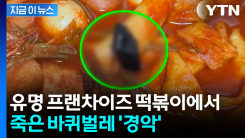 유명 프랜차이즈 떡볶이서 바퀴벌레...본사 "진심으로 사과" [지금이뉴스] 