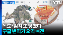 제미나이 똑똑한데 번역기는 왜...구글, 독도·김치 또 ‘오답’ [지금이뉴스]