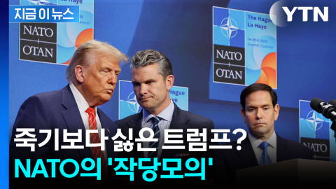 트럼프 만나느니 차라리…나토의 극단적인 결정 [지금이뉴스]
