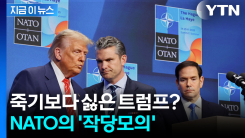 트럼프 만나느니 차라리...나토의 극단적인 결정 [지금이뉴스]