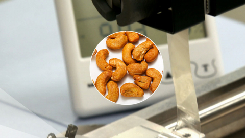 캐슈넛 껍질로 테이프 만든다…친환경 접착제 개발