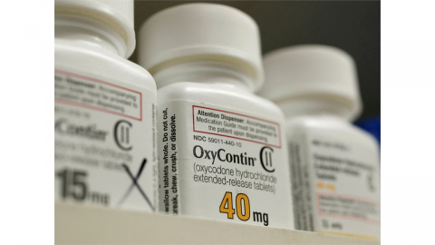 미 법원, 퍼듀 파마 '마약성 진통제 사태' 8조 원대 벌금 선고...실제 납부액은 3천억 원대에 그칠 듯