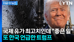 트럼프, 아랍에미리트 OPEC 탈퇴에 "좋은 일"...한국 또 언급 [지금이뉴스]