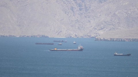 "미, 호르무즈 통항 정상화 새 연합체 추진"