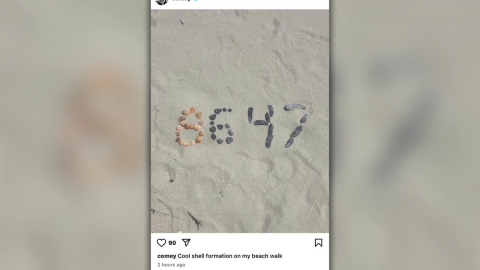 86 47이 뭐길래…조개껍데기 사진 올렸다 재판행