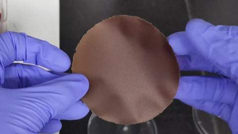 고유가 속 플라스틱 대체할 낙엽 멀칭 필름 개발