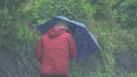 [날씨] 내일 전국 비바람, \'쌀쌀\'…남해안·제주 많은 비