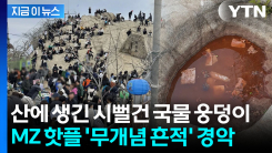 "국물 버린 인간들, 진정한 쓰레기"...MZ 핫플된 관악산 \'난장판\' [지금이뉴스]