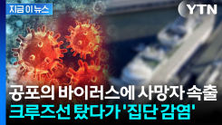 "드물지만 사람 간 전파 가능"...크루즈선서 바이러스 발생에 3명 사망 [지금이뉴스]