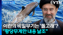 이란이 꺼낸 최종병기 \'돌고래\'?..."근거 없는 날조" [지금이뉴스]