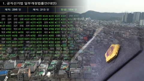 중·대선거구 시·도의회서 제동…"정치적 다양성 훼손"