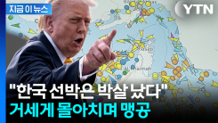 트럼프 "한국 화물선, 대열에 없이 단독 행동하다 피격" [지금이뉴스]