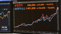 "삼성전자·SK하이닉스 직접 투자 가능"...외국인들까지 매수 행...