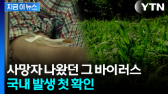 집 앞 텃밭에서 일했을 뿐인데...국내 발생 환자 첫 확인 [지금이뉴스] 