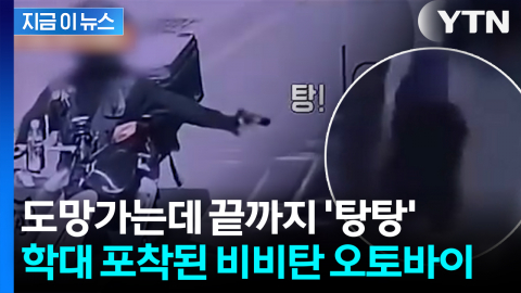 고양이 사냥하듯 비비탄총 '탕탕'... 항의하자 곧바로 도주 [지금이뉴스]