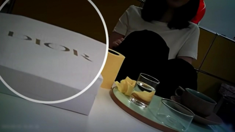 "명품백 조사하며 윤과 관저 회동"…권익위, 수사의뢰