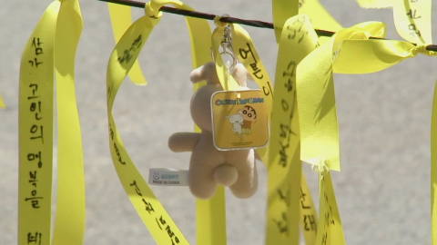 \'여고생 살해\' 20대 14일 신상 공개…범행 이틀 전 스토킹 신고