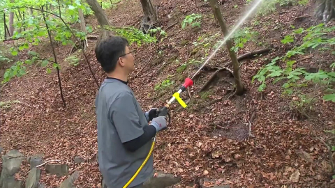 \'우글우글\' 또 확산 조짐에…\'러브버그\' 미리 막는다