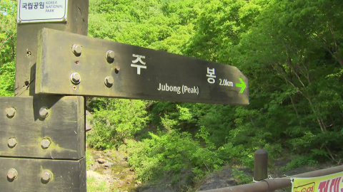 주왕산 실종 초등생 산비탈에서 숨진 채 발견