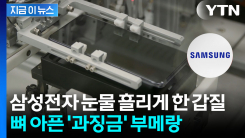 \'삼성전자에 갑질\'..."186억원 과징금 취소해달라" 소송전 결국 [지금이뉴스]