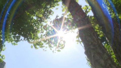 [날씨] "벌써 여름?" 서울 31.5℃…한여름 더위 다음 주 초까지
