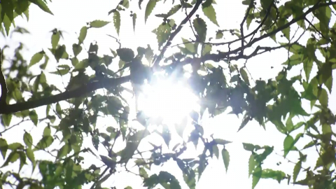 [날씨] 오늘 어제보다 기온 더 올라, 서울 32℃…주말까지 더위 이어져