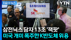 추월 당한 돈나무 언니...삼전닉스 담더니 \'이례적인 성공\' [지금이뉴스]