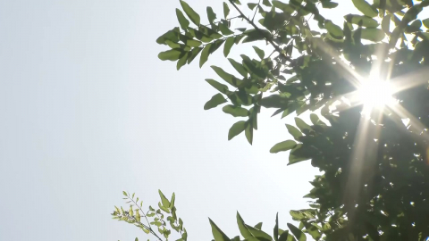 [날씨] 주말 영남 곳곳 33℃↑ 치솟아…내일도 \'한여름 더위\'