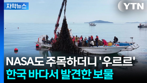 [자막뉴스] '지구촌 교과서' 되는 완도...세계가 주목한 미래 먹거리